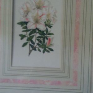 Meet your Posher, Eva